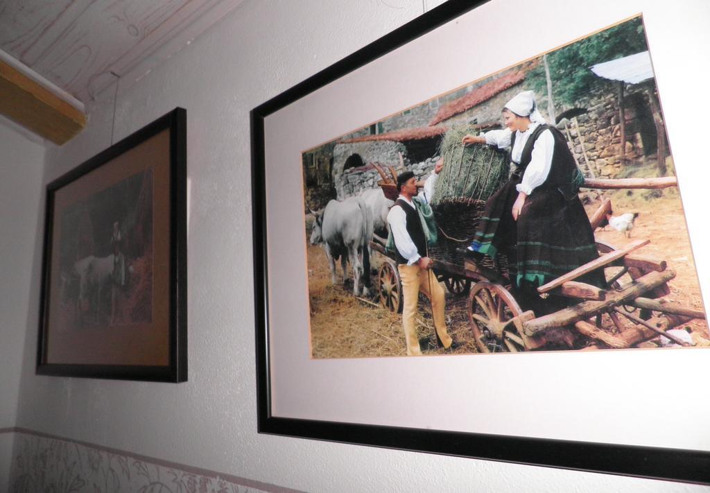 Studio Sijara Lägenhet Motovun Rum bild